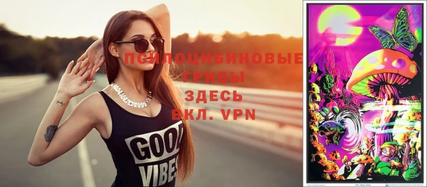 твердый Алзамай