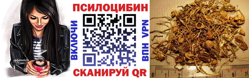 Псилоцибиновые грибы Psilocybine cubensis  Оханск 
